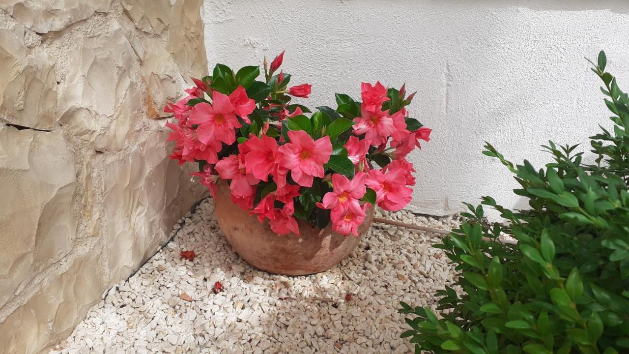 Apartman Nina Vodice Luaran gambar